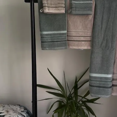 In Oude-pijp Апартаменты