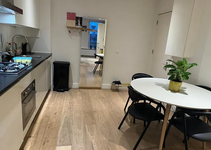 Appartement In Oude-pijp *
