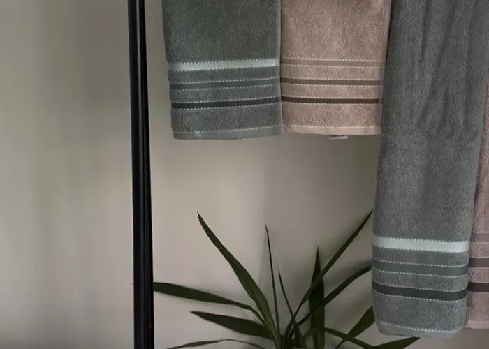 In Oude-pijp Appartement